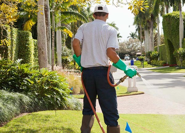 About Earlton NY Pest Control